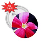 Antina Flower  2.25  Button (10 pack)