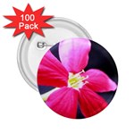 Antina Flower  2.25  Button (100 pack)