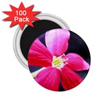 Antina Flower  2.25  Magnet (100 pack) 