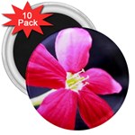 Antina Flower  3  Magnet (10 pack)