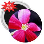 Antina Flower  3  Magnet (100 pack)