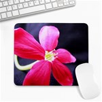 Antina Flower  Large Mousepad