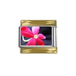 Antina Flower  Gold Trim Italian Charm (9mm)