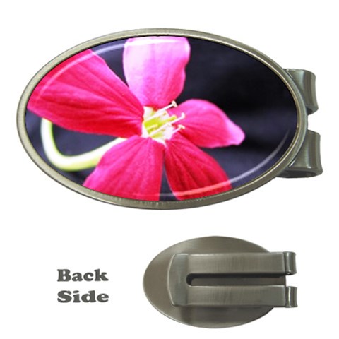 Antina Flower  Money Clip (Oval) from UrbanLoad.com Front
