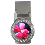 Antina Flower  Money Clip (CZ)