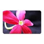 Antina Flower  Magnet (Rectangular)