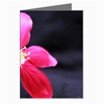 Antina Flower  Greeting Cards (Pkg of 8)