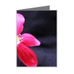 Antina Flower  Mini Greeting Card