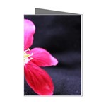 Antina Flower  Mini Greeting Cards (Pkg of 8)