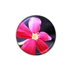 Antina Flower  Hat Clip Ball Marker