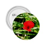 Anemone Flower   2.25  Button