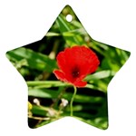 Anemone Flower   Ornament (Star)