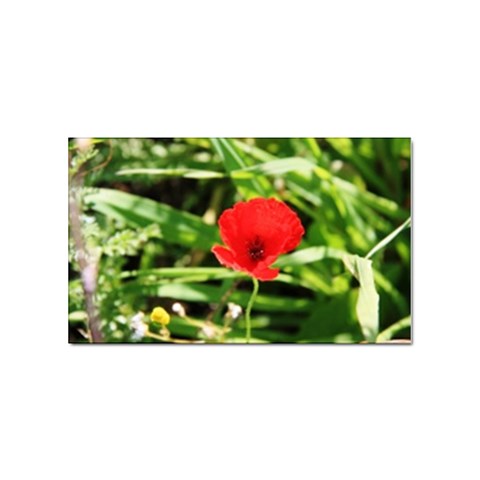 Anemone Flower   Sticker (Rectangular) from UrbanLoad.com Front