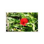 Anemone Flower   Sticker (Rectangular)