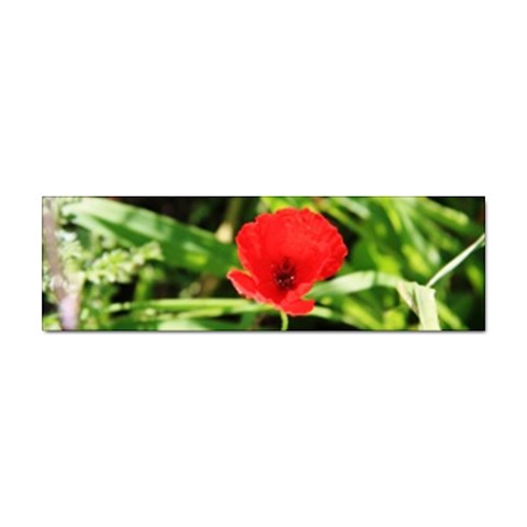 Anemone Flower   Sticker (Bumper) from UrbanLoad.com Front