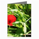 Anemone Flower   Greeting Cards (Pkg of 8)