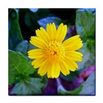 A Yellow Flower  Tile Coaster