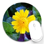 A Yellow Flower  Round Mousepad