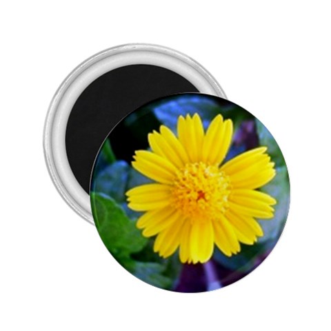 A Yellow Flower  2.25  Magnet from UrbanLoad.com Front