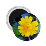 A Yellow Flower  2.25  Magnet