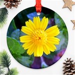 A Yellow Flower  Ornament (Round)