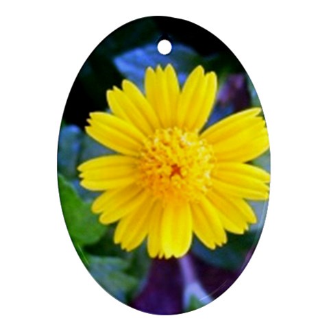 A Yellow Flower  Ornament (Oval) from UrbanLoad.com Front