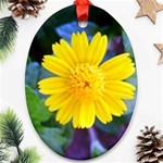 A Yellow Flower  Ornament (Oval)