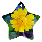 A Yellow Flower  Ornament (Star)