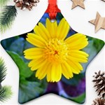 A Yellow Flower  Ornament (Star)