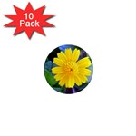 A Yellow Flower  1  Mini Magnet (10 pack) 