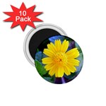 A Yellow Flower  1.75  Magnet (10 pack) 