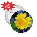 A Yellow Flower  2.25  Button (100 pack)