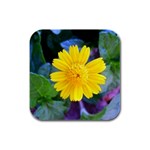 A Yellow Flower  Rubber Square Coaster (4 pack)