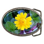 A Yellow Flower  Belt Buckle