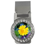 A Yellow Flower  Money Clip (CZ)