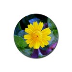 A Yellow Flower  Rubber Coaster (Round)