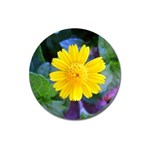 A Yellow Flower  Magnet 3  (Round)