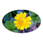 A Yellow Flower  Magnet (Oval)