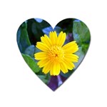 A Yellow Flower  Magnet (Heart)
