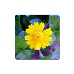 A Yellow Flower  Magnet (Square)