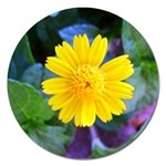 A Yellow Flower  Magnet 5  (Round)