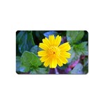 A Yellow Flower  Magnet (Name Card)