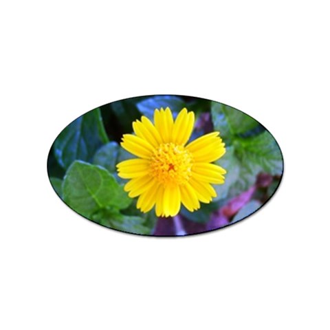 A Yellow Flower  Sticker Oval (10 pack) from UrbanLoad.com Front