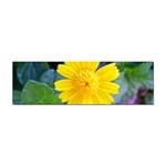 A Yellow Flower  Sticker Bumper (10 pack)