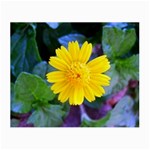 A Yellow Flower  Glasses Cloth (Small)