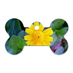 A Yellow Flower  Dog Tag Bone (One Side)