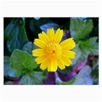 A Yellow Flower  Glasses Cloth (Large)