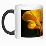 Yellow Orange   Morph Mug