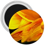 Yellow Sunflower 1   3  Magnet