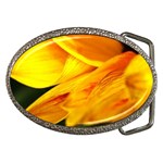 Yellow Sunflower 1   Belt Buckle